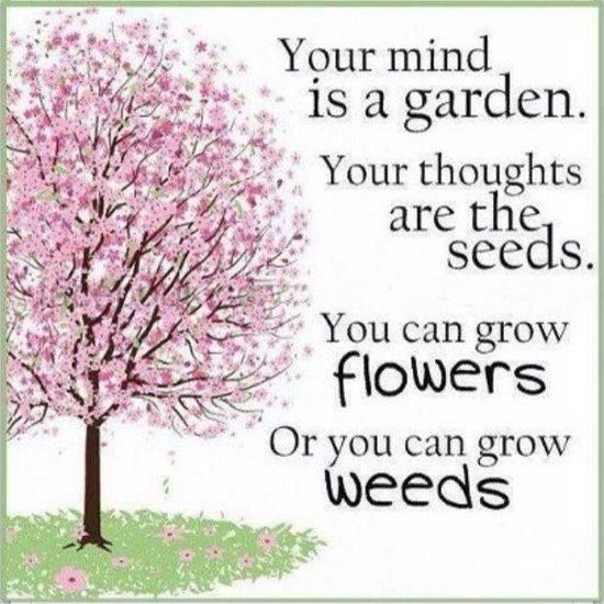 Your Mind Is A Garden: Tend It Well