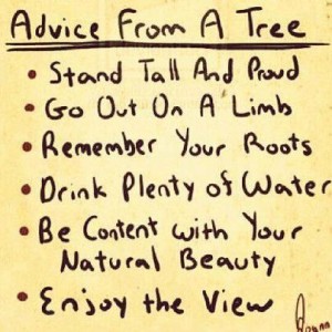 clip advice_from_tree
