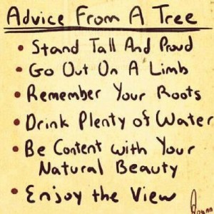 Advice From A Tree