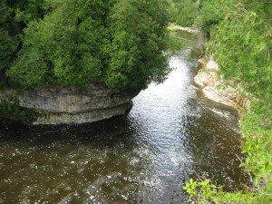 pic stream elora_gorge